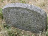 image of grave number 503519